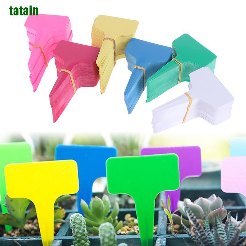 Set 100 Thẻ Nhựa Chữ T Đánh Dấu Cây Trồng