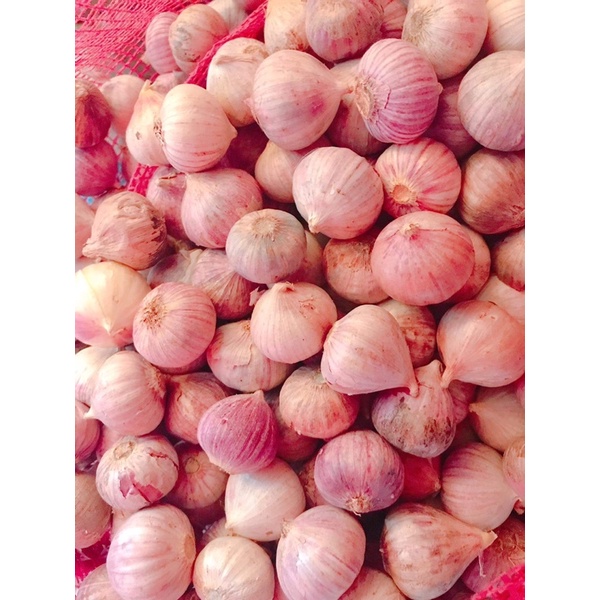 Tỏi Cô đơn