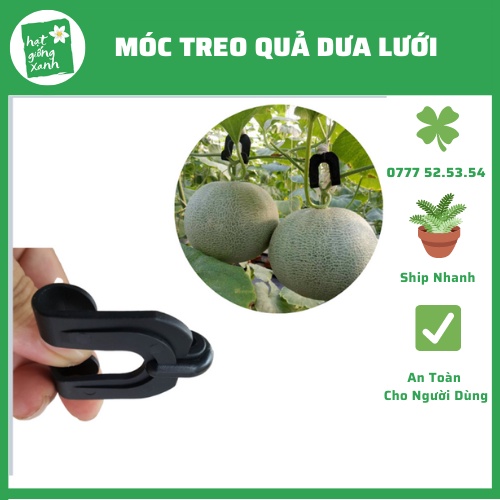 50 Móc Treo Quả Dưa Lưới, Dưa Hấu…