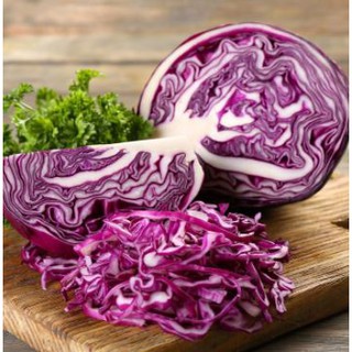 0,5 GR - hạt giống bắp cải tím