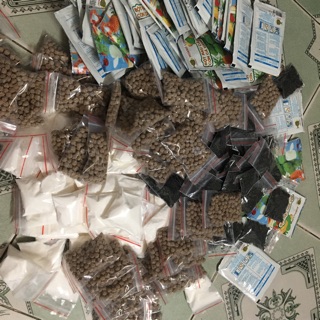 50set trà thái xanh xịn