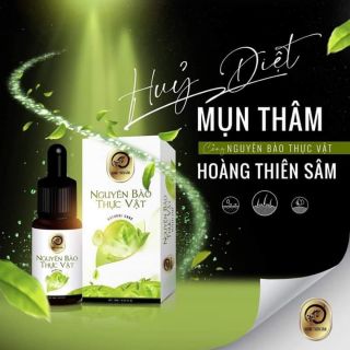 Nguyên Bào Thực Vật