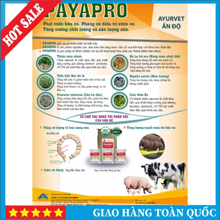 PAYAPRO Premix Gói 1kg - Thức Ăn Kích Tiết Sữa, Phát Triển Bầu Vú, Ngăn Ngừa Viêm Vú, Viêm Tử Cung Cho Heo