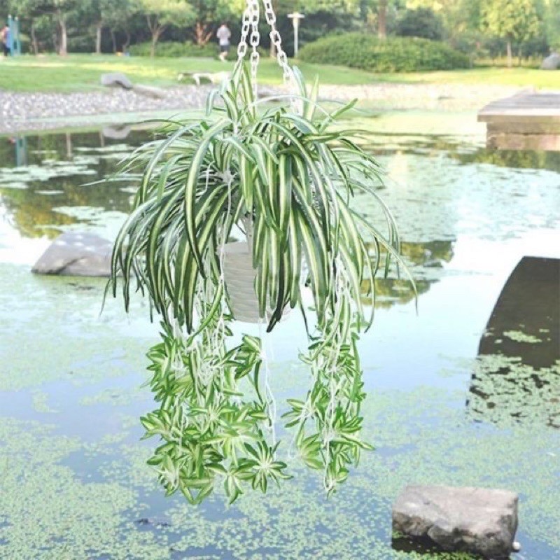 Cành điểm giả gắn trang trí thảm cỏ treo tường