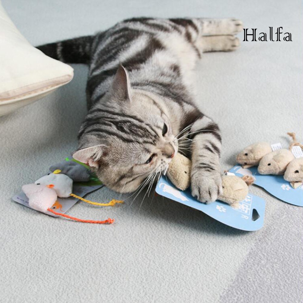3 Chuột nhồi bông đồ chơi độc đáo dành cho mèo cưng
