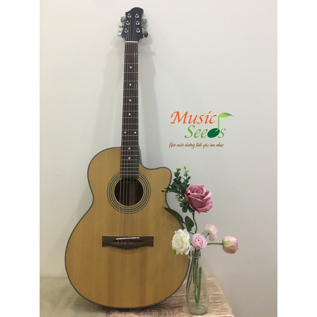 J100 Acoustic Guitar