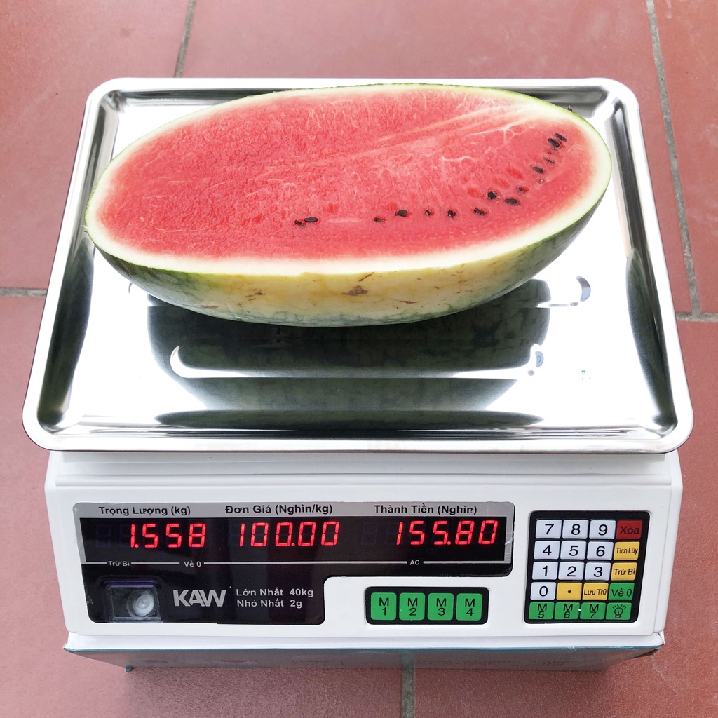 cân bếp mini, cân kiểm tra trọng lượng, cân mini - Cân Điện Tử Tính Tiền CHO KẾT QUẢ CHÍNH XÁC T UYỆT Đ ỐI