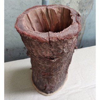Khúc gỗ cắm hoa