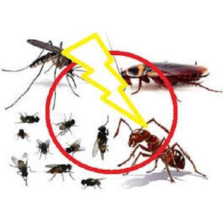 Thu ốc diệt muỗi Fendona 10 SC