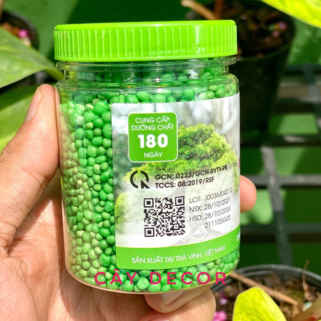 Phân tan chậm cho cây kiểng RYNAN hũ 150g
