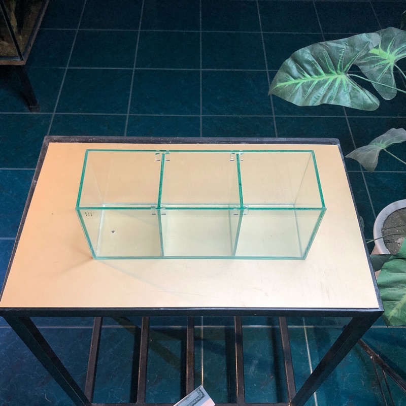 Bể cá betta D30xR10xC12cm 3 ngăn