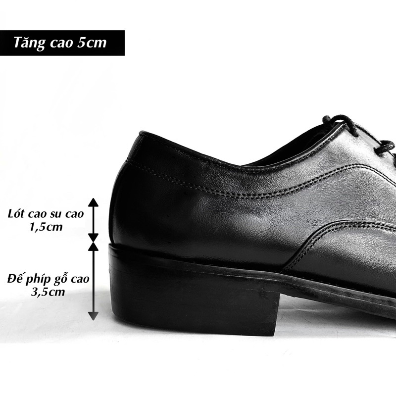 Giày tây oxford tăng chiều cao TEFOSS HT002 nâu và đen da bò thật cao cấp size 38-44