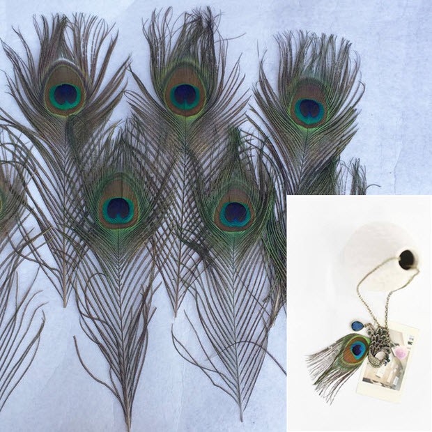 Set 5 Lông Công Làm Đồ Handmade Thủ Công Trang Sức Thời Trang Feather