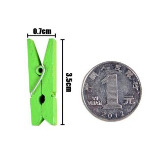 Set 10 kẹp gỗ màu treo ảnh