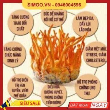 💥 ⚡ SẢN PHẨM CHÍNH HÃNG 💥 ⚡ 1 hộp 45G Hoa Đông Trùng Hạ Thảo Hàn Quốc Dạng Khô cao cấp 💥 ⚡