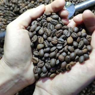 Organic Coffee - HD.03 ROBUSTA COFFEE
