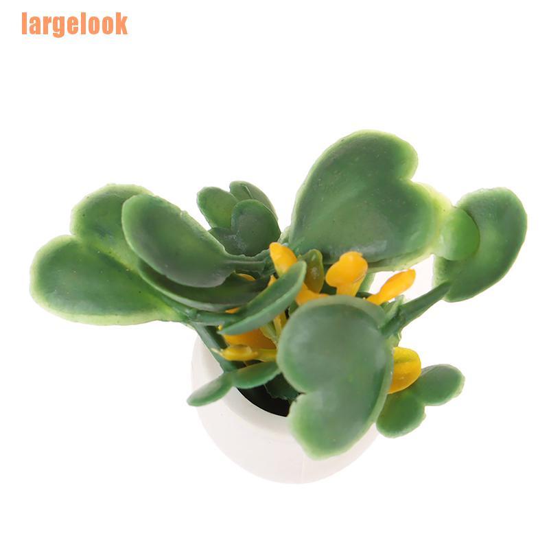 Mô Hình Chậu Xanh Trang Trí Nhà Búp Bê Tỉ Lệ 1: 12