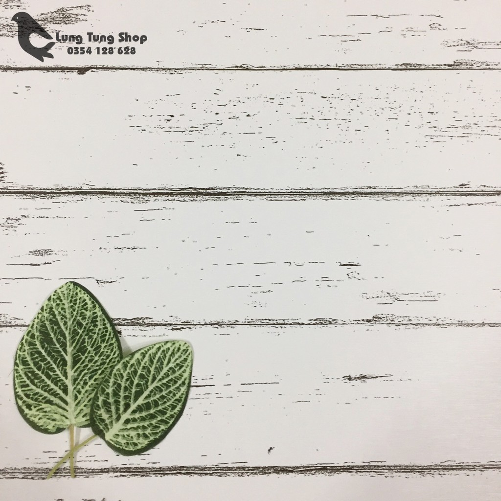 Phụ kiện chụp hình sản phẩm - chọn mẫu