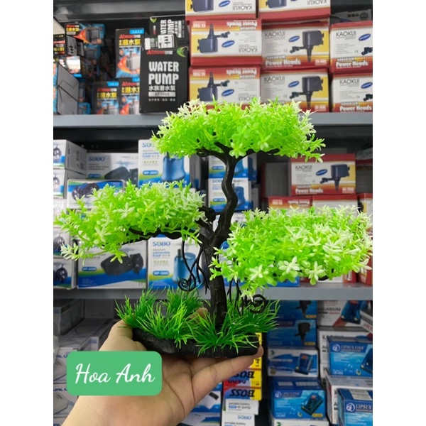 Cây nhựa dáng Bonsai - trang trí bể cá cực đẹp