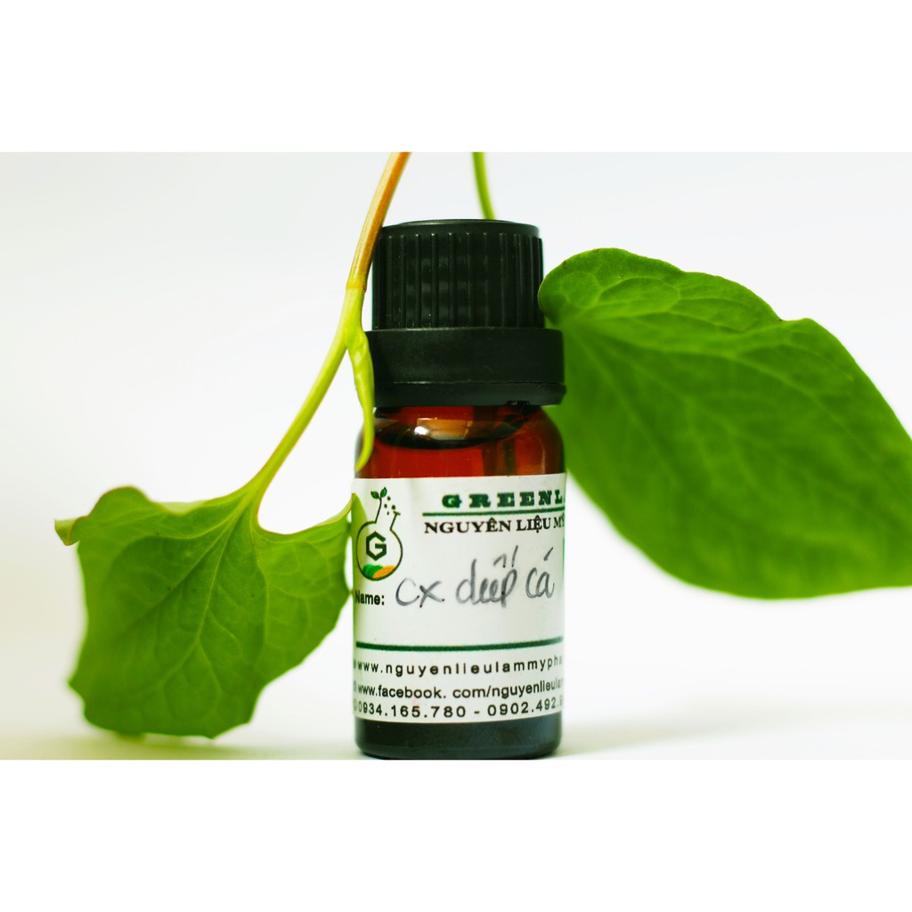 CHIẾT XUẤT DIẾP CÁ 50ML