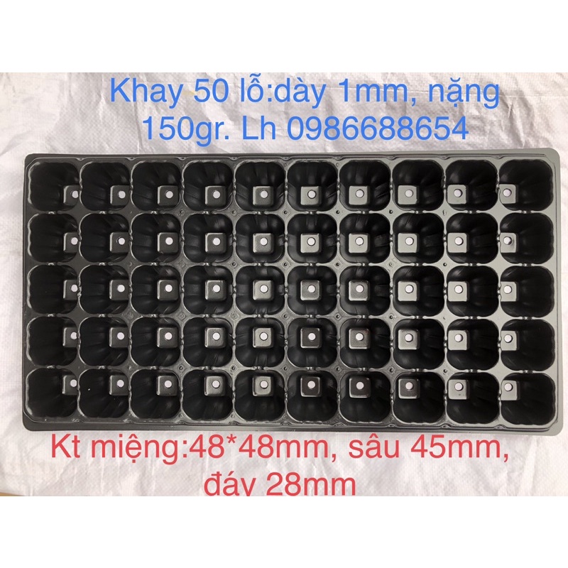 khay ươm hạt 50 lỗ ( miệng 4,8 cao 4.8cm)- Hàng dày loại 1