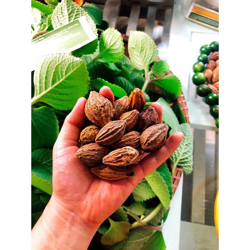 QUẢ KHA TỬ (CHIÊU LIÊU) 1KG hết ho rát họng