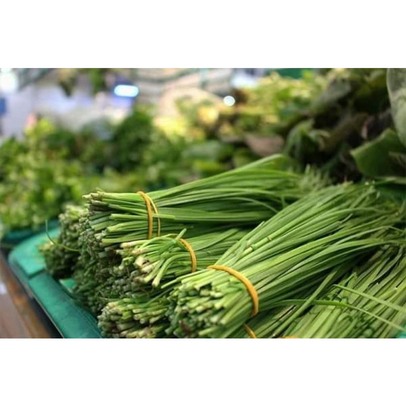 100 Củ hẹ