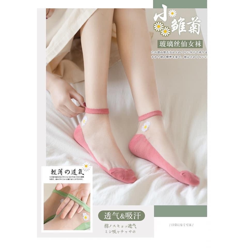 Combo 10 đôi tất lưới nữ họa tiết cúc họa mi