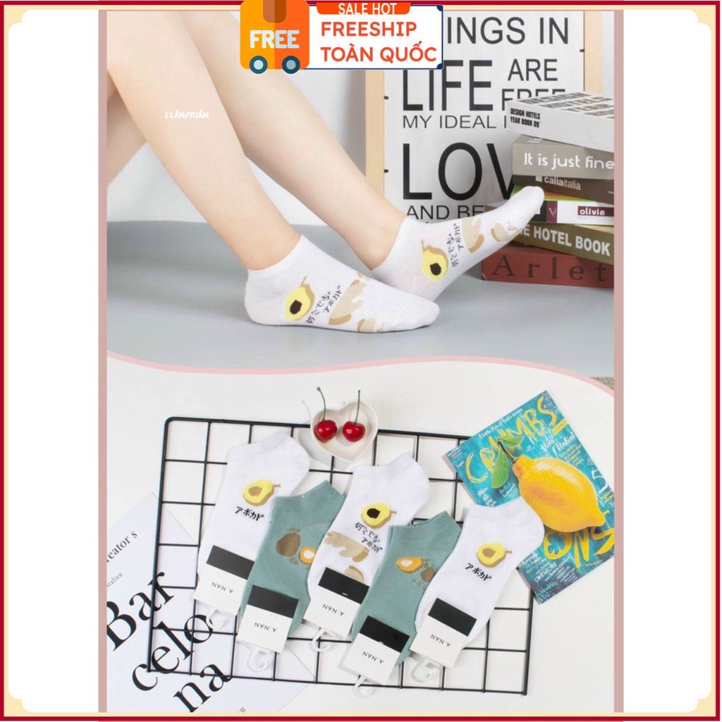 PVN36738 Sét 10 đôi tất hình bơ vải cotton cổ ngắn siêu dai T2 . . . .