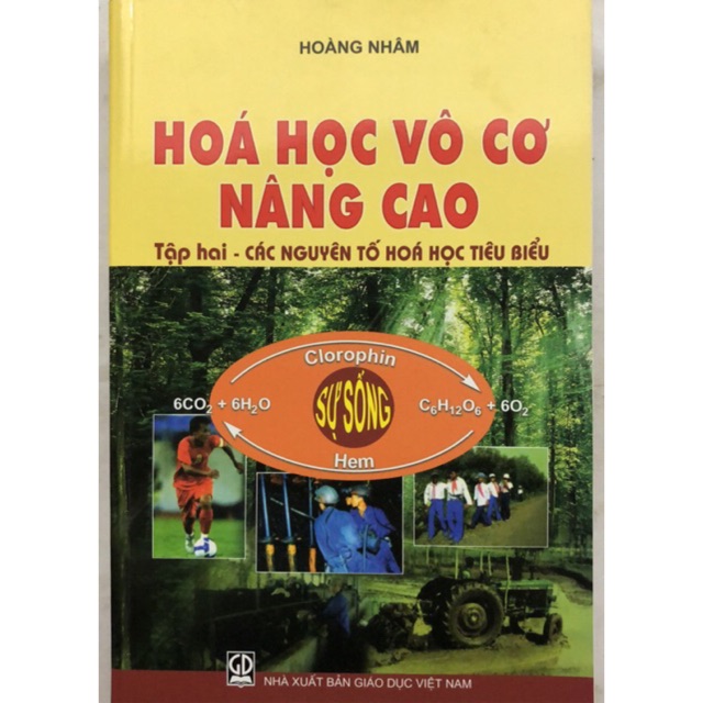 Sách - Hoá học vô cơ nâng cao Tập 2: Các nguyên tố hoá học tiêu biểu