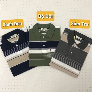 Áo thun nam kẻ sọc trung niên