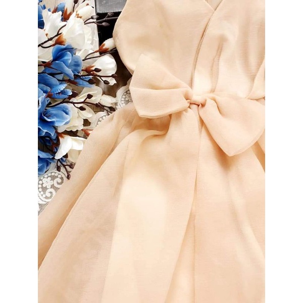 Đầm công chúa size s