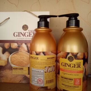Cặp gội xả gừng