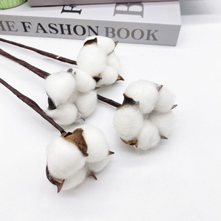 Hoa bông gòn trang trí – cành hoa bông gòn trang trí handmade