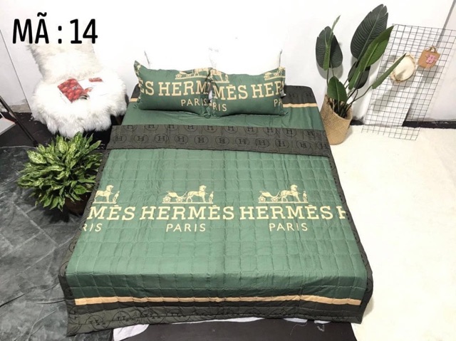 Bộ ga kèm đôi vỏ gối poly cotton siêu ngộ nghĩnh m6 hoặc m8 (được chọn mẫu) | BigBuy360 - bigbuy360.vn