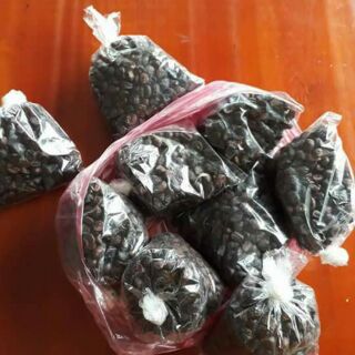 Hạt dổi nếp