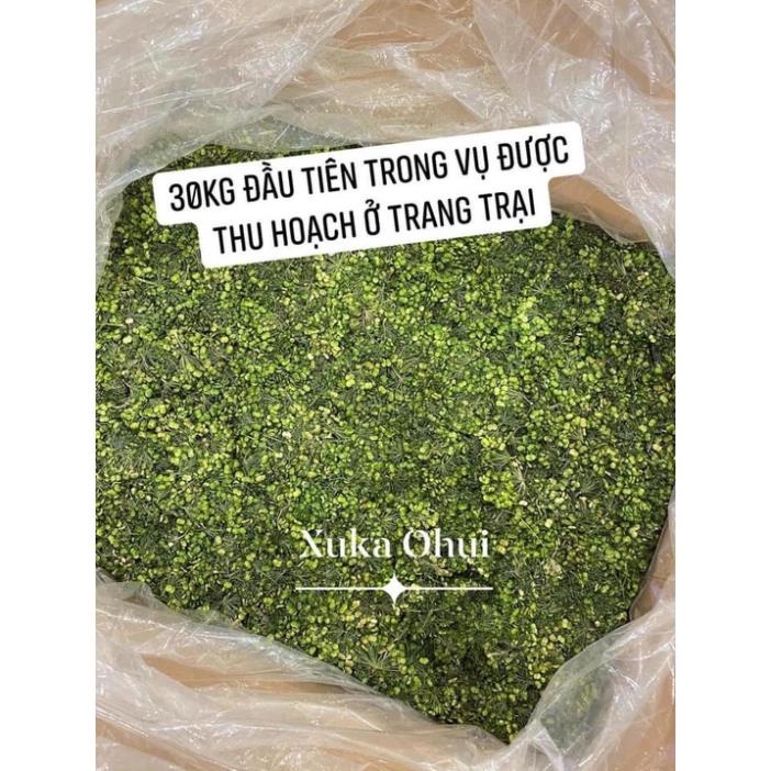 TRÀ HOA SÂM SẤY KHÔ HÀN QUỐC - HÀNG CHÍNH HÃNG (Túi 500g) | BigBuy360 - bigbuy360.vn