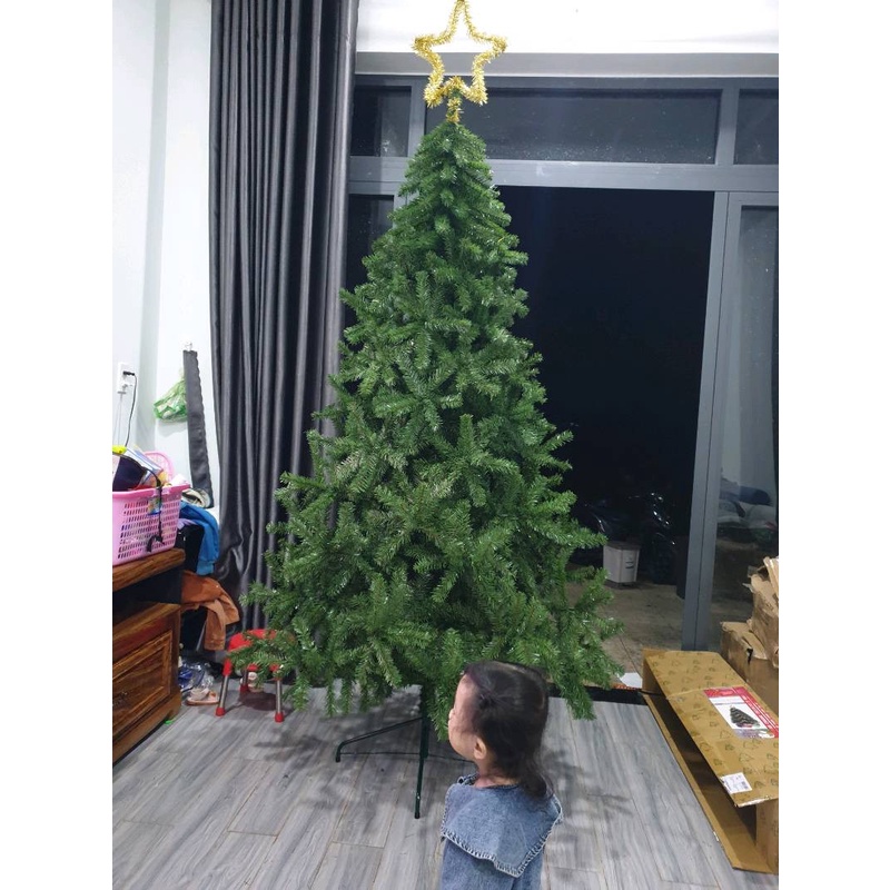 Cây thông noel 2m4 tán rộng dày đẹp tặng kèm 1 ngôi sao đỉnh và 6 dây kim tuyến trang trí giáng sinh