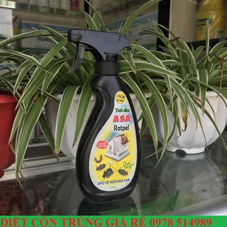 Asa - Xua đuổi chuột