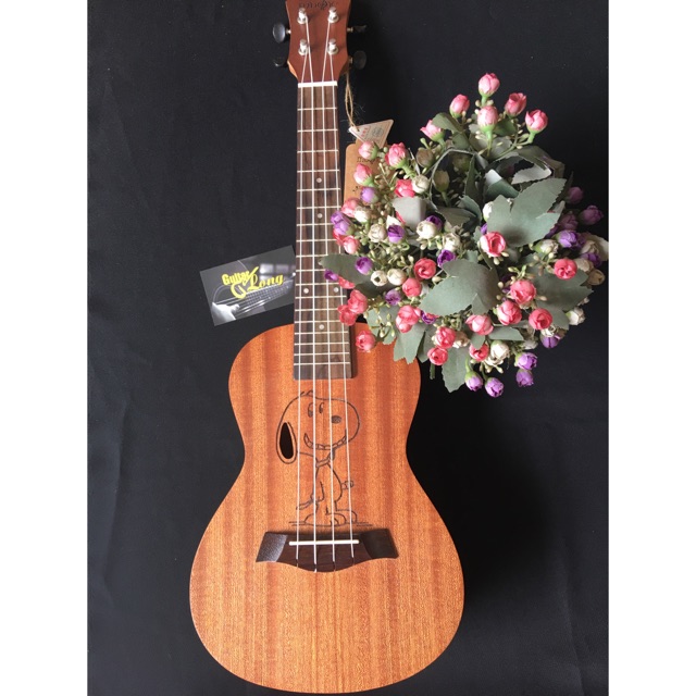 Ukulele Concert CC650 CB2