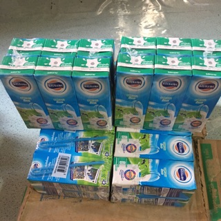 SỮA TƯƠI  THÁI LAN DUTCH LADY 36 hộp ( sản xuất tại Thái lan)