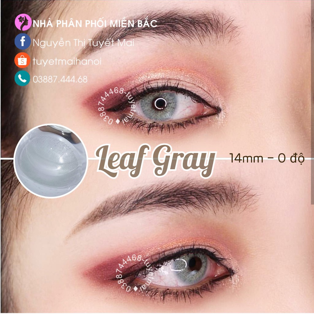 [Bán giá gốc] Leaf Gray 14mm 0 Độ - Lens Xám Xanh - Kính Áp Tròng Nhập Khẩu Hàn Quốc