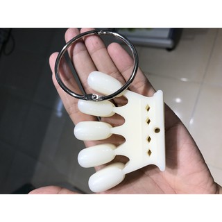 Móng vương miện màu đục ( móng để trưng bày các mẫu)