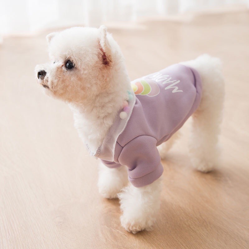 ÁO THỜI TRANG CHO CHÓ MÈO HÌNH NGỰA UNICORN
