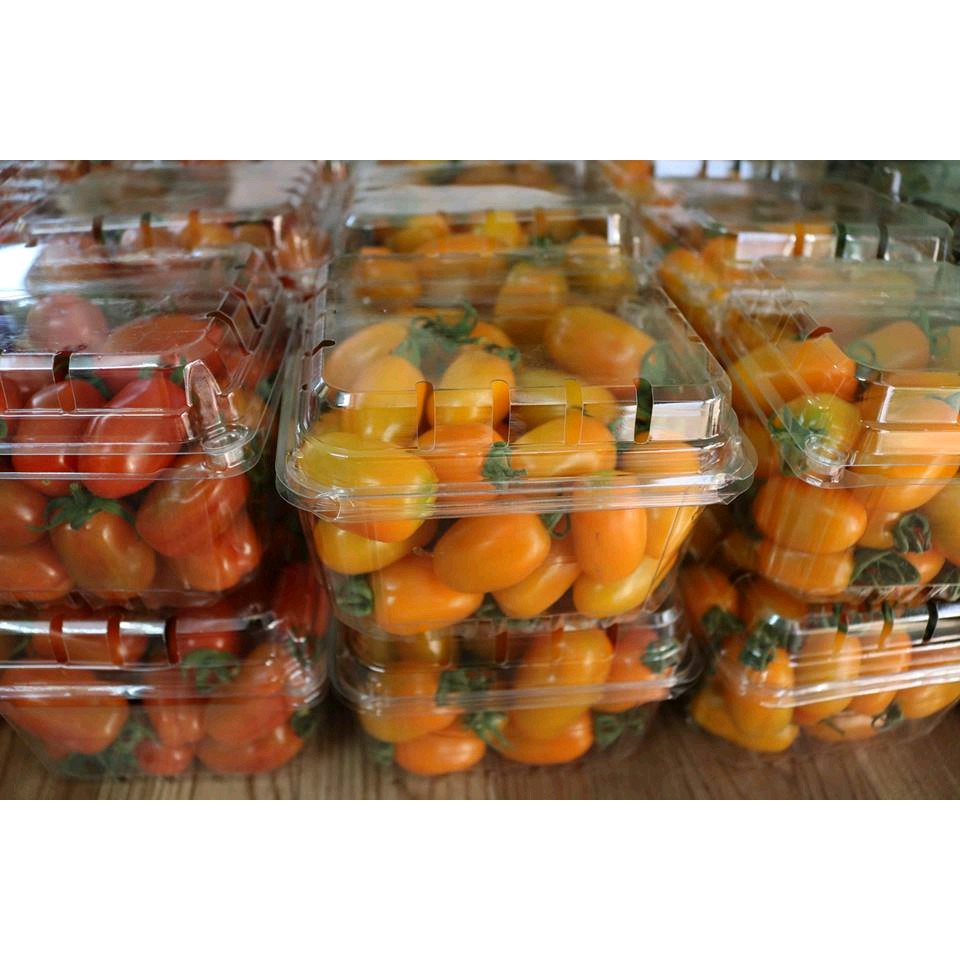 Hộp nhựa P1000B đựng trái cây, cherry, nho - Hộp đựng trái cây 1kg
