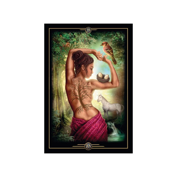 Bộ Bài Oracle of Visions (Mystic House Tarot Shop) - Bài Gốc Authentic Chính Hãng 100%