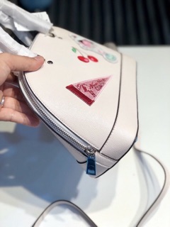 🆘RẺ VÔ ĐỊCH🆘Túi Coach hến cherry