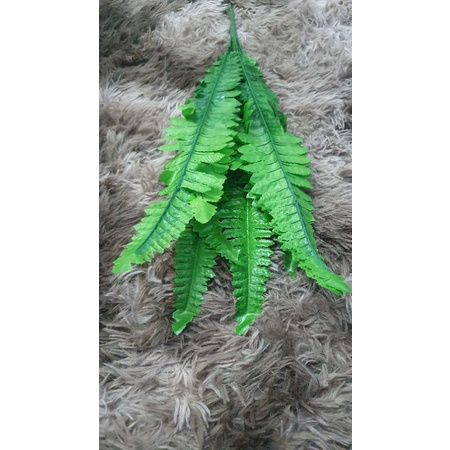 Com bo 2 bó Lá dương xỉ