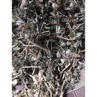 Cây thù lù - tầm bóp phơi khô 1 ký sản phẩm sạch đẹp