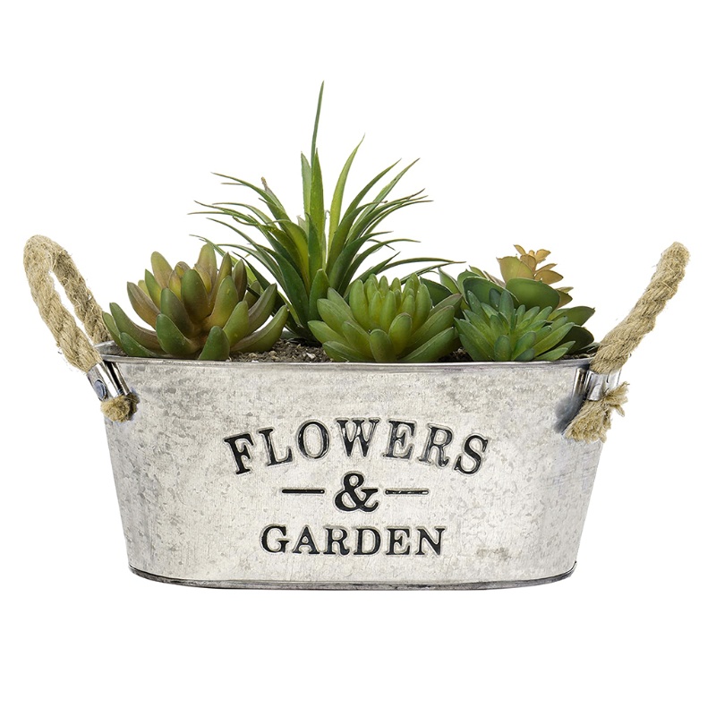 Chậu Trồng Cây Màu Trắng Có Tay Cầm Phong Cách Cổ Điển Tiện Dụng Cho Gia Đình